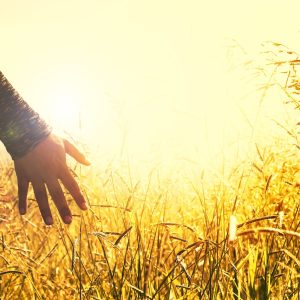 PRIMAVERA ESPIRITUAL (ESCAPE DEL ESTRÉS)